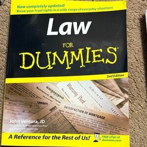 Law for Dummies Book
